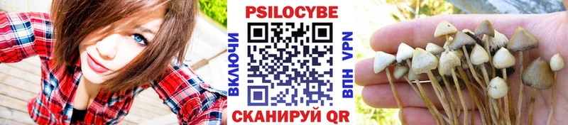 хочу   Котельнич  Псилоцибиновые грибы ЛСД 